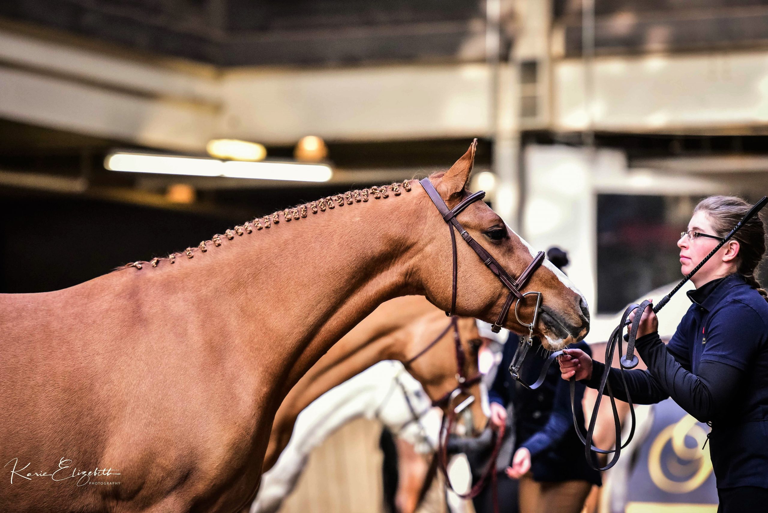 RAWF 2018 3 (2)